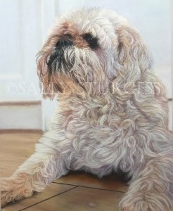 Dog Pet Portrait from photograph UK