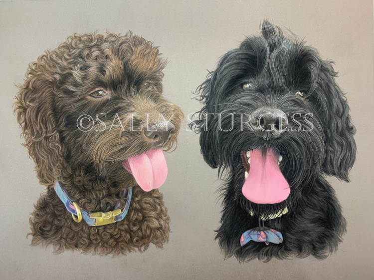 Two dog pet portrait from separate photos