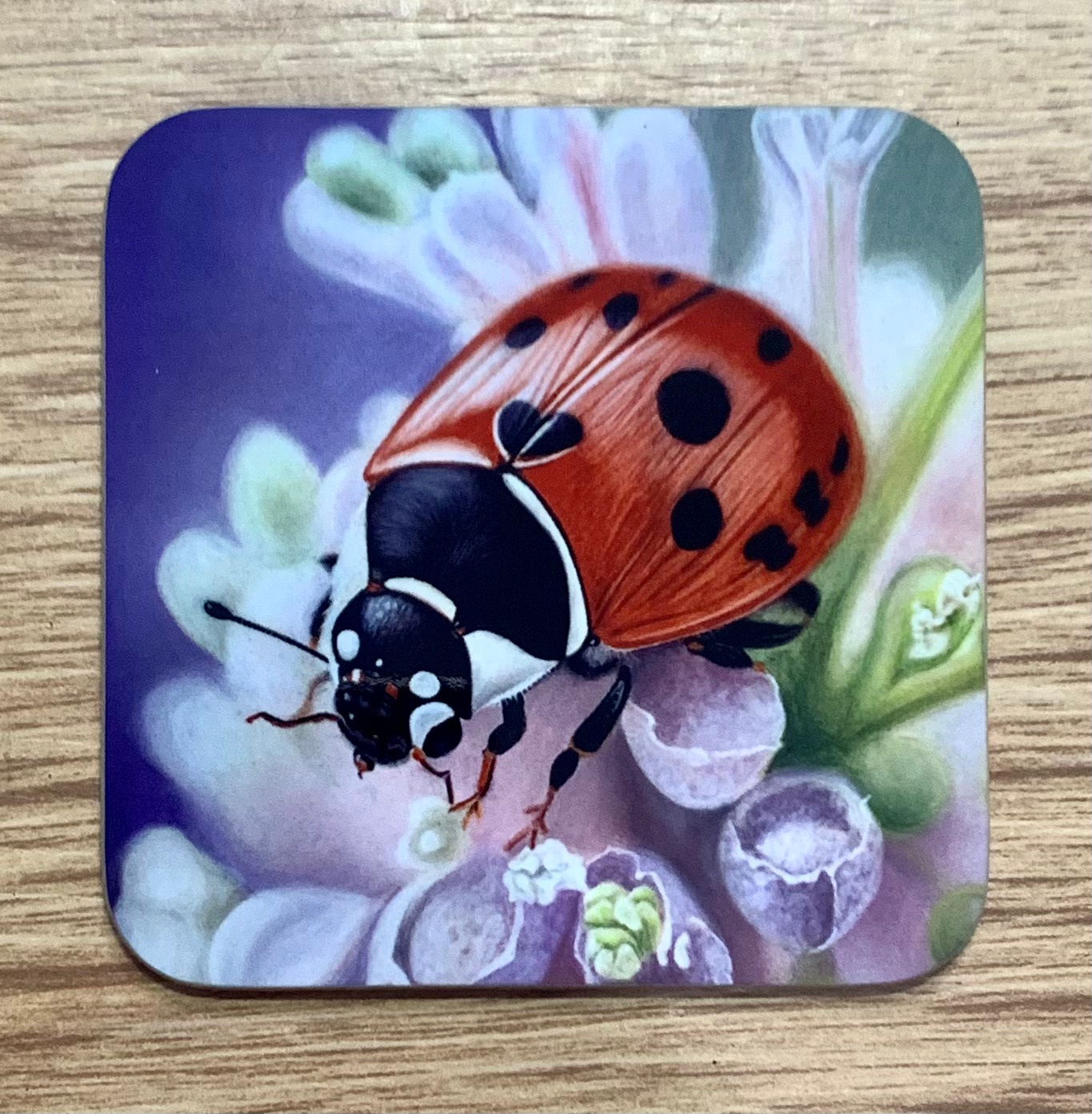 ladybird gift