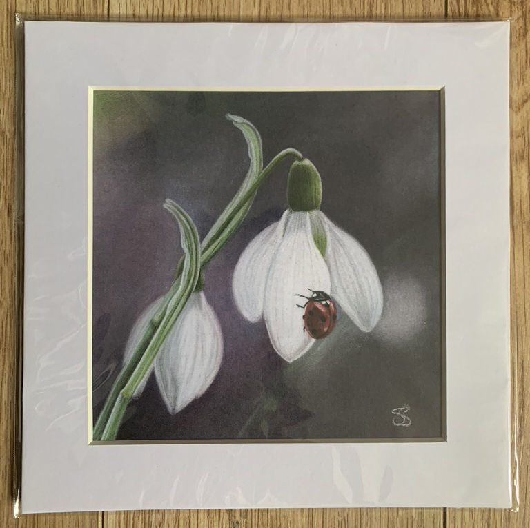 Limited edition wildlife print