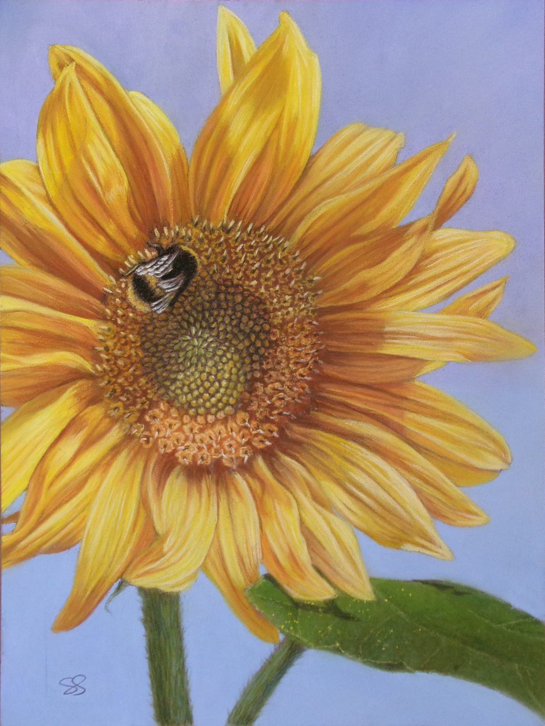 Greetings card with bee and sunflower