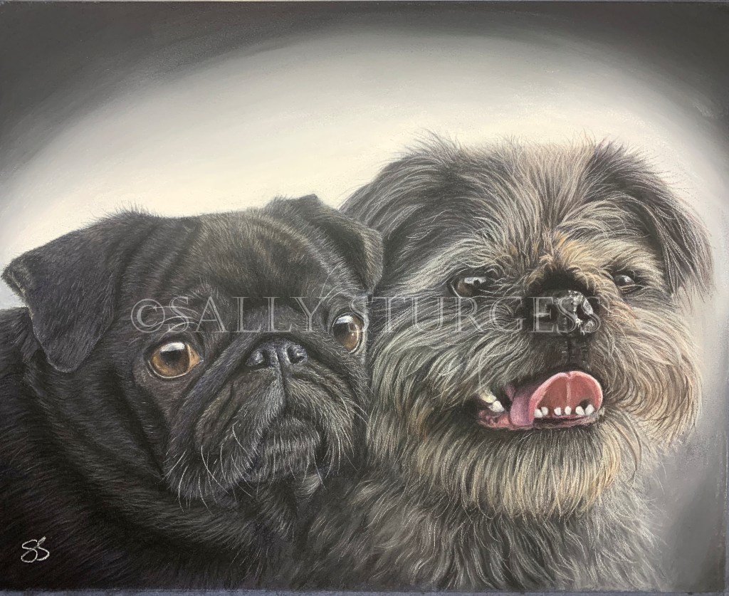 2 dog portrait Multiple dog pet portrait